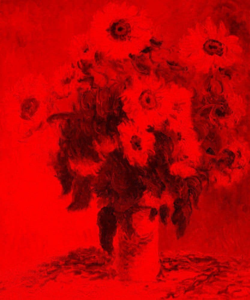 CREATOR: gd-jpeg v1.0 (using IJG JPEG v80), quality = 80