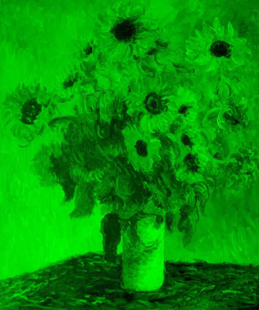 CREATOR: gd-jpeg v1.0 (using IJG JPEG v80), quality = 80