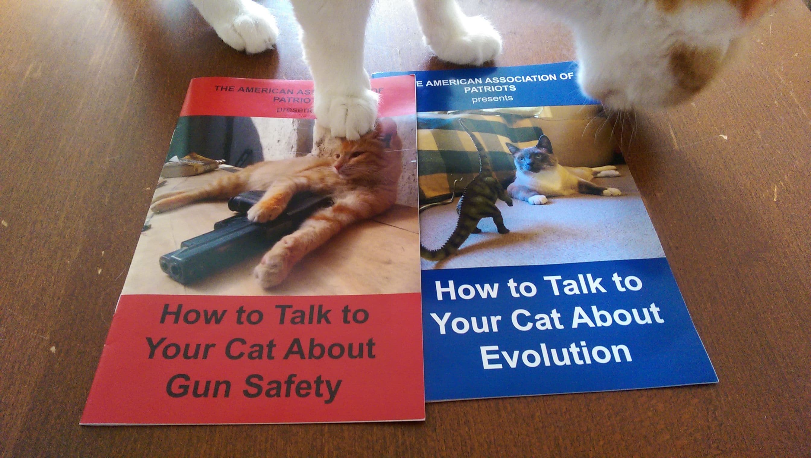 cat-books