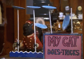 cat failing to keep plates spinning