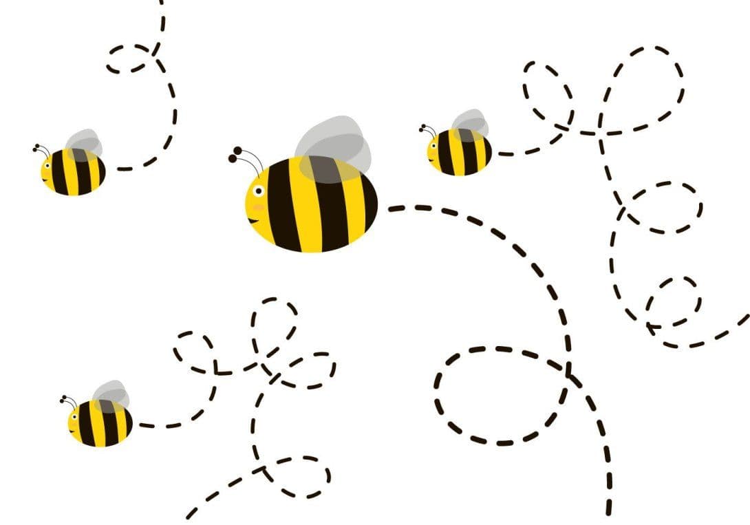 bees-on-a-path