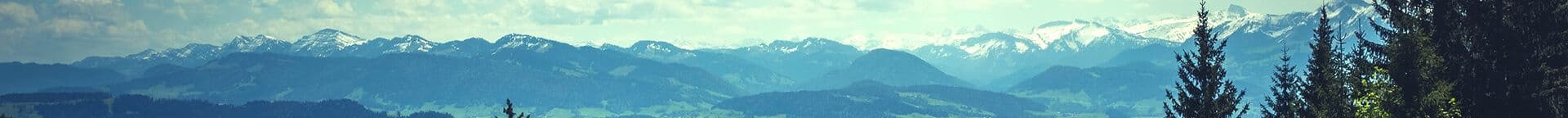 Buyer’s (and Evaluator’s) Guide to Observability